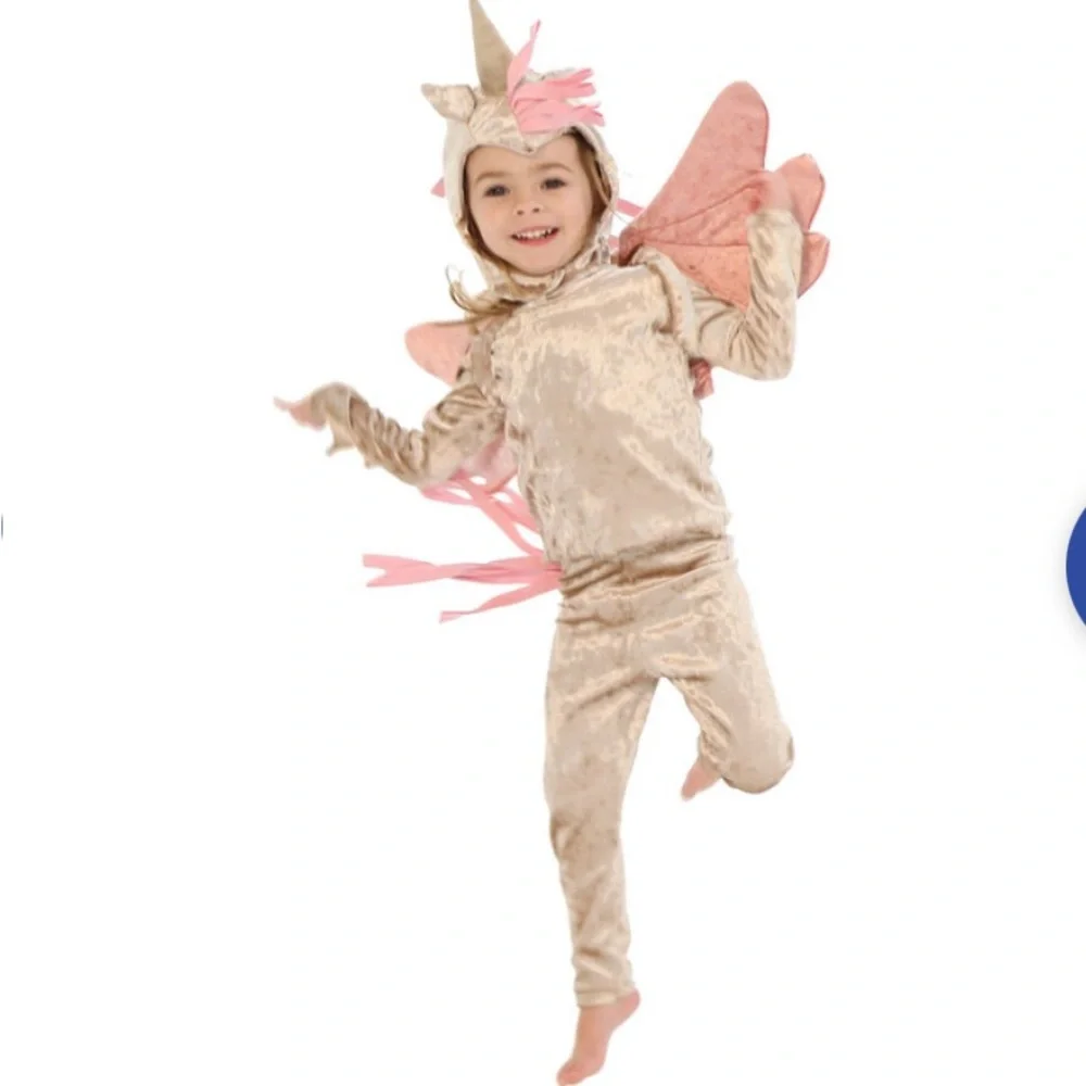 Band of wild unicorn costume